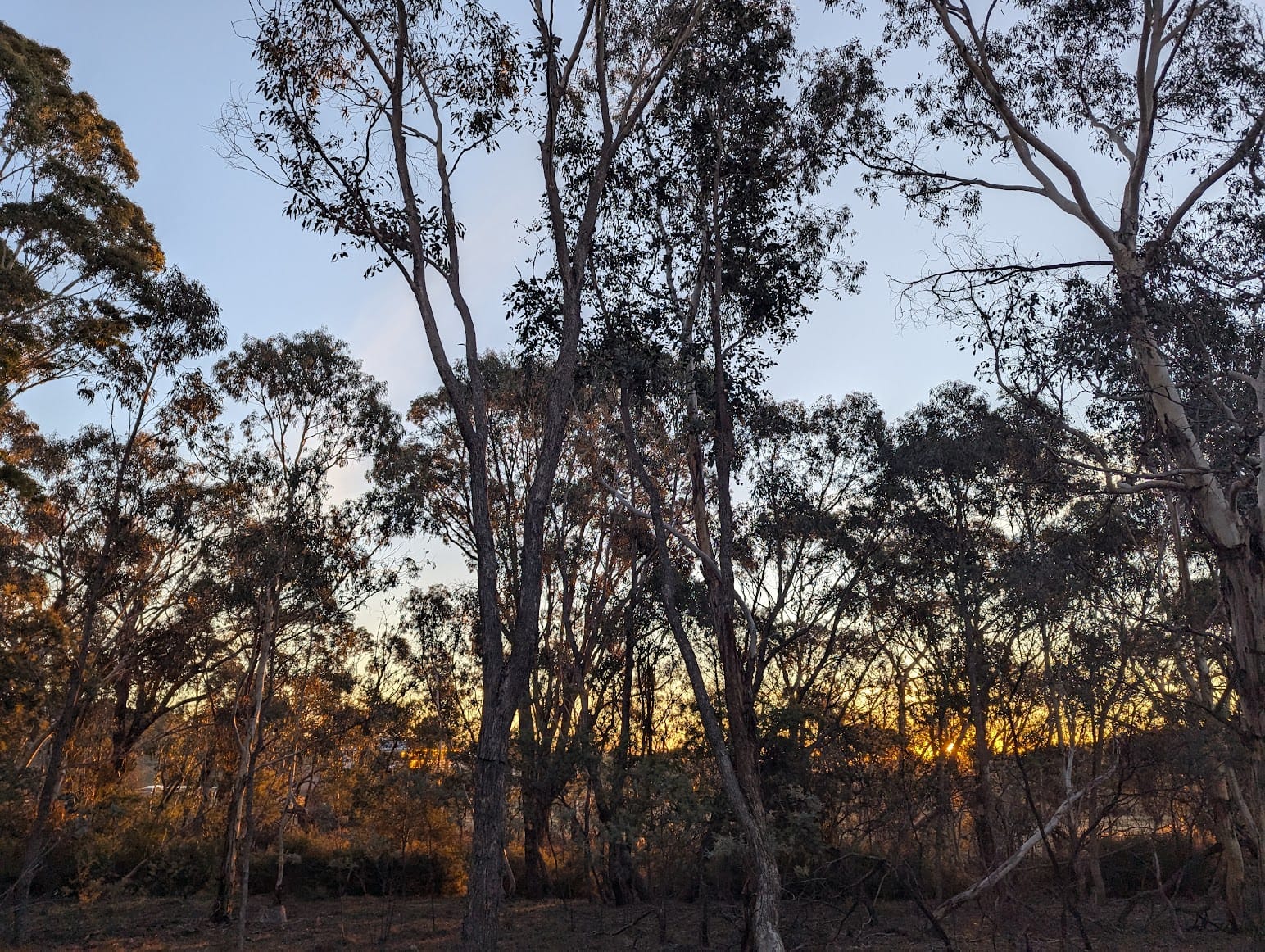 The Crepuscular Hour